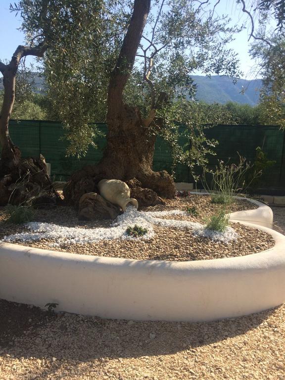 Apollo Villa Матината Екстериор снимка
