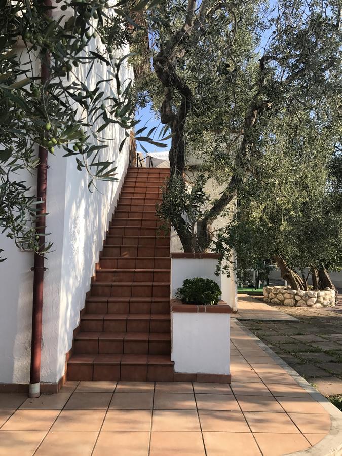 Apollo Villa Матината Екстериор снимка